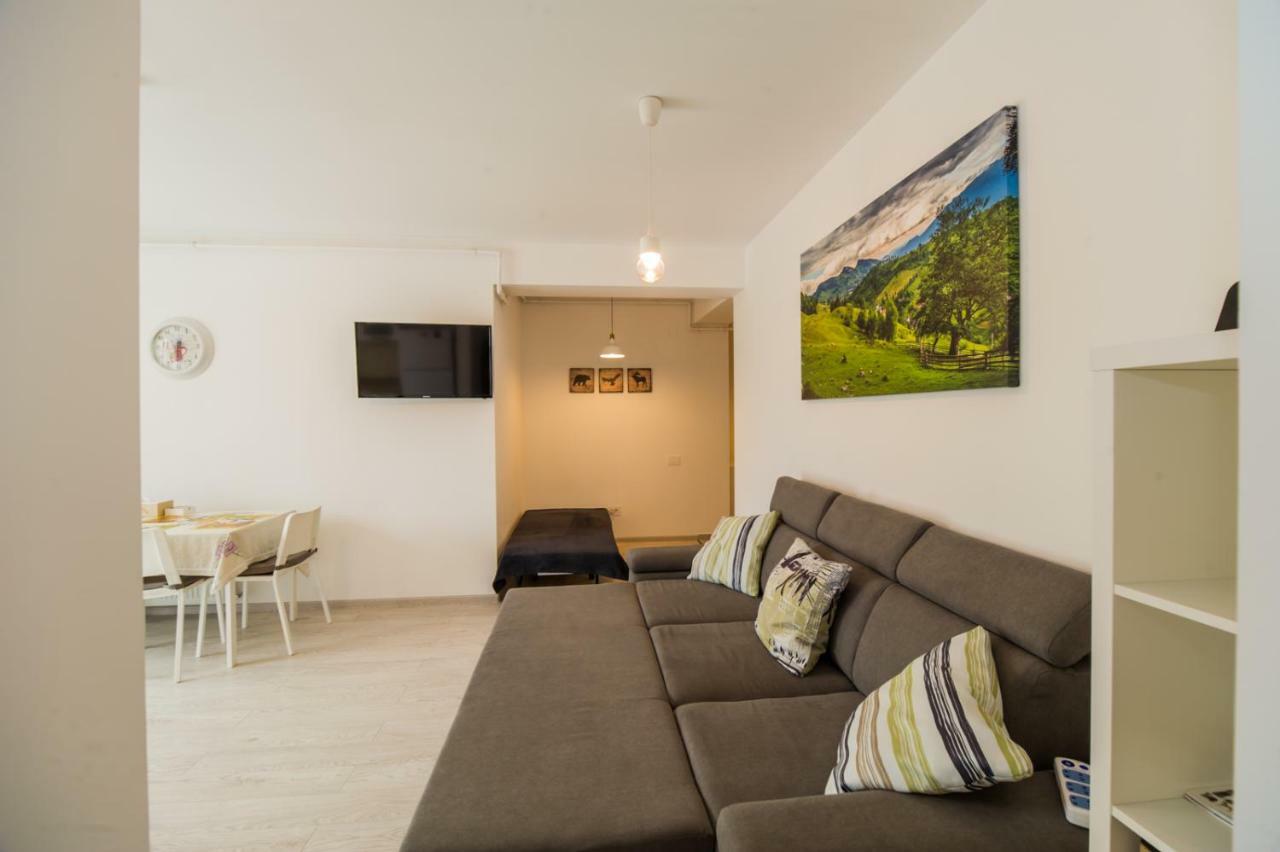 Schiller Apartment 57 - Free Private Parking Braşov Esterno foto